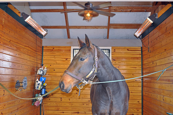 Wash stall